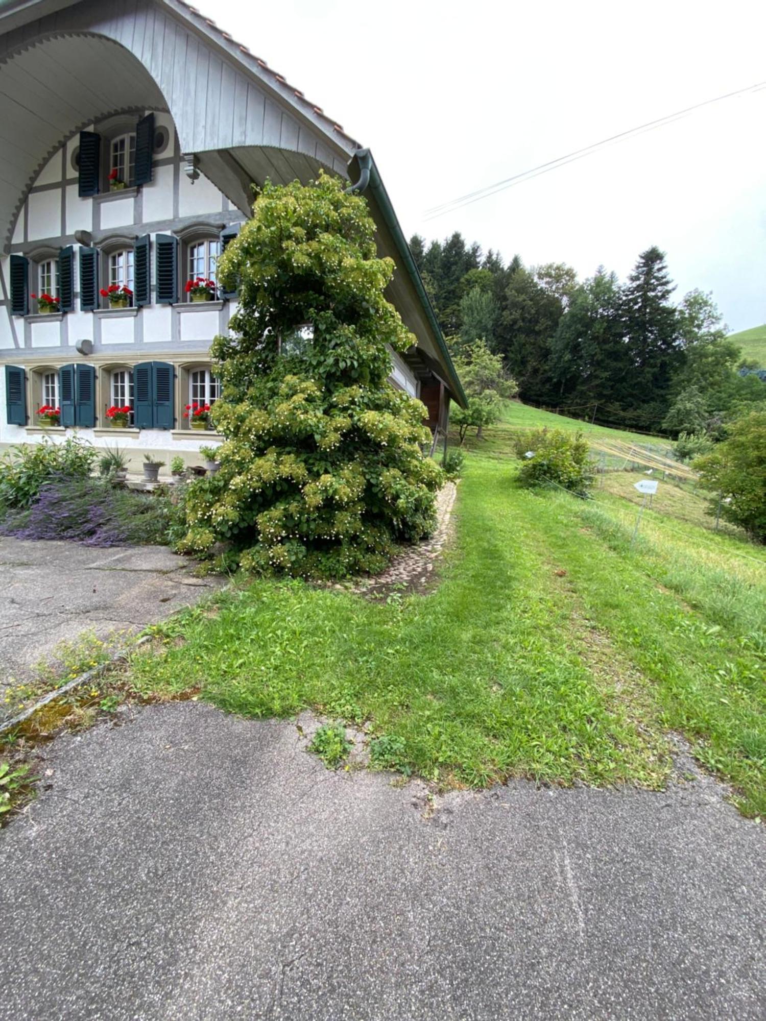 B&B Tannen124 Oberburg Extérieur photo